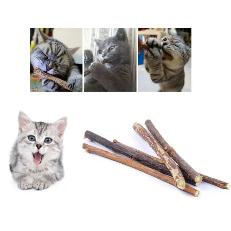 20Pcs 4-6mm Catnip Chew Sticks, Natural Woodruff Cat Toys - for Teeth Cleaning & Kitten Entertainment Actinidia Silvervine