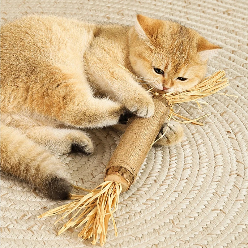 Popular Wood Polygonum teasing cat toy snacks self-hi gnawing teeth cleaning natural molar stick