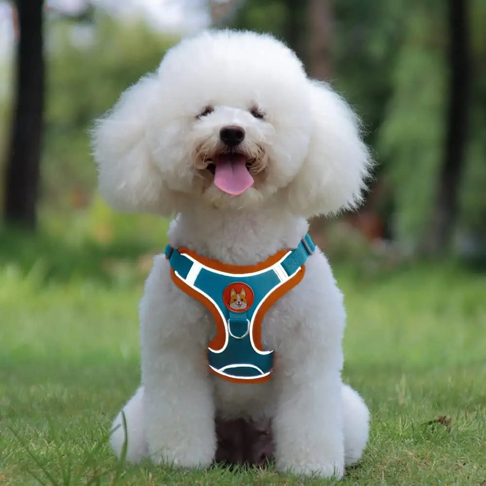Pet Harness Vest Dogs Chest Strap Rope Reflective Dog Traction Rope Retractable for Small Dog Cat Traction Set Pet Accessories