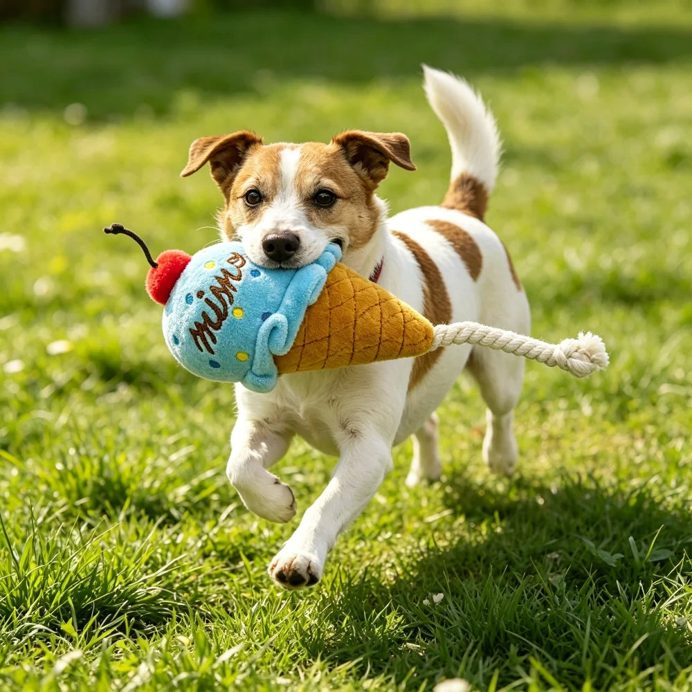 Two-Tone Ice Cream Squeaky Rope Toy: Chew-Friendly Plush with Knots for Independent Play and Teething Fun for Dogs