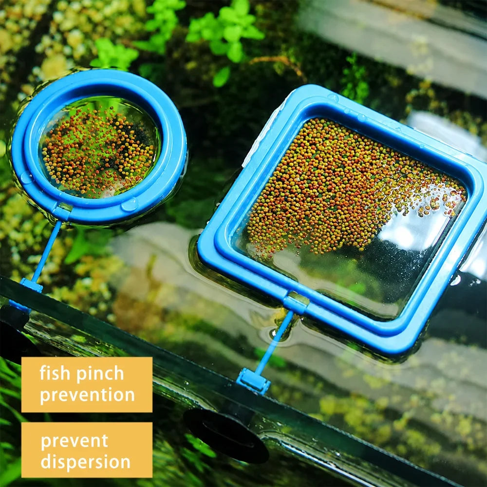 Betta Fish Food Floating Mini Pellets with Aquarium Feeding Ring Station Color Enhancer Tropical Fish Food Kit ZORILYNX