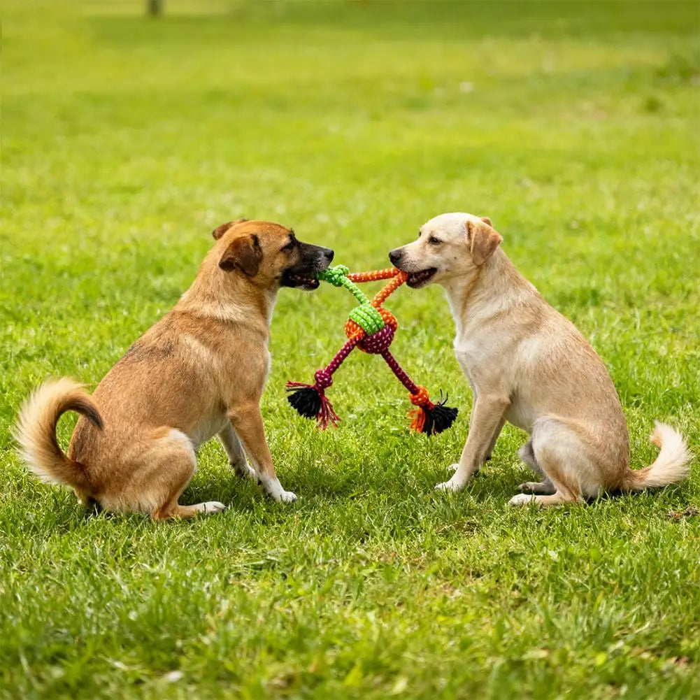 Durable Bite-Resistant Interactive Knot Toy for Dogs- Chewable Rope with Green&Orange Fringes,Playful Design, Dog Toys