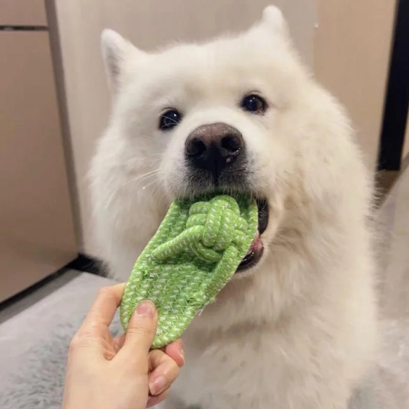 Interactive Pet Chewing Toy Cotton Slipper Rope for Small to Large Dogs Dental Health Molar Chew Toy Dog Accessory for Training