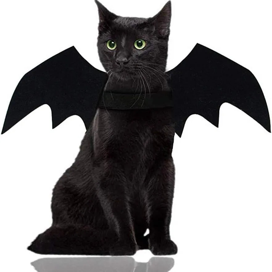 Wholesale Cute Cat Cosplay Costume Black Bat Wings Safety Belt Role Playing Pet Cat Dog Halloween Party Decoration Supplies