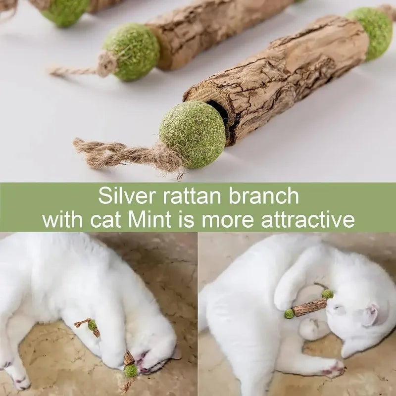 3pc Pure Natural Catnip Cat Molar Teething Stick Cat Cleaning Teeth Silvervine Fruit Matatabi Cat Snack Stick