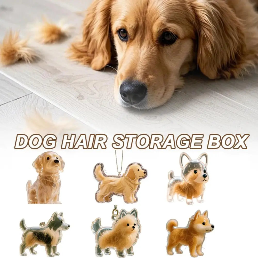Transparent Dog Fur Storage Pendant Cute DIY Accessories Portable Souvenirs Keychain Fur Storage Capsule Pet Hair Container