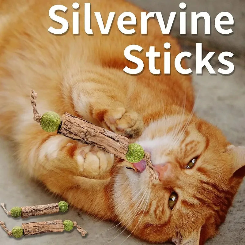 3pc Pure Natural Catnip Cat Molar Teething Stick Cat Cleaning Teeth Silvervine Fruit Matatabi Cat Snack Stick