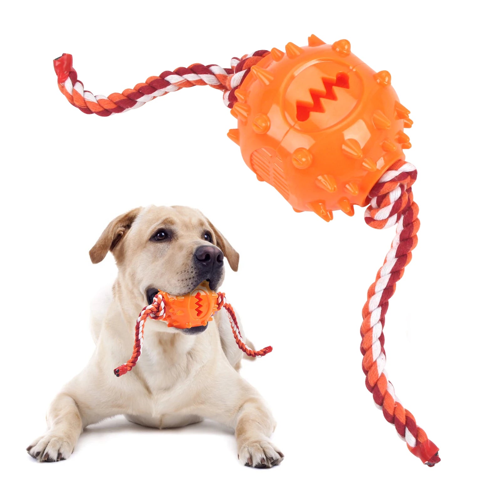 Dog Grinding Teeth Toys Chew Toys Cleaning Teeth Anti Bite Interactive Training Leaking Food Balls Toys Slow Food Pet Products