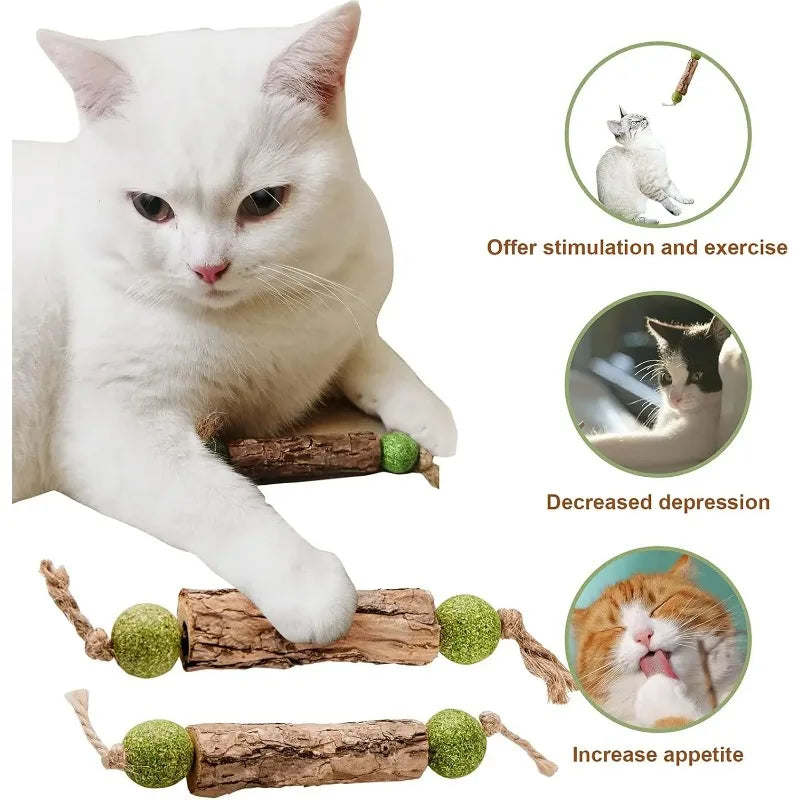 3pc Pure Natural Catnip Cat Molar Teething Stick Cat Cleaning Teeth Silvervine Fruit Matatabi Cat Snack Stick