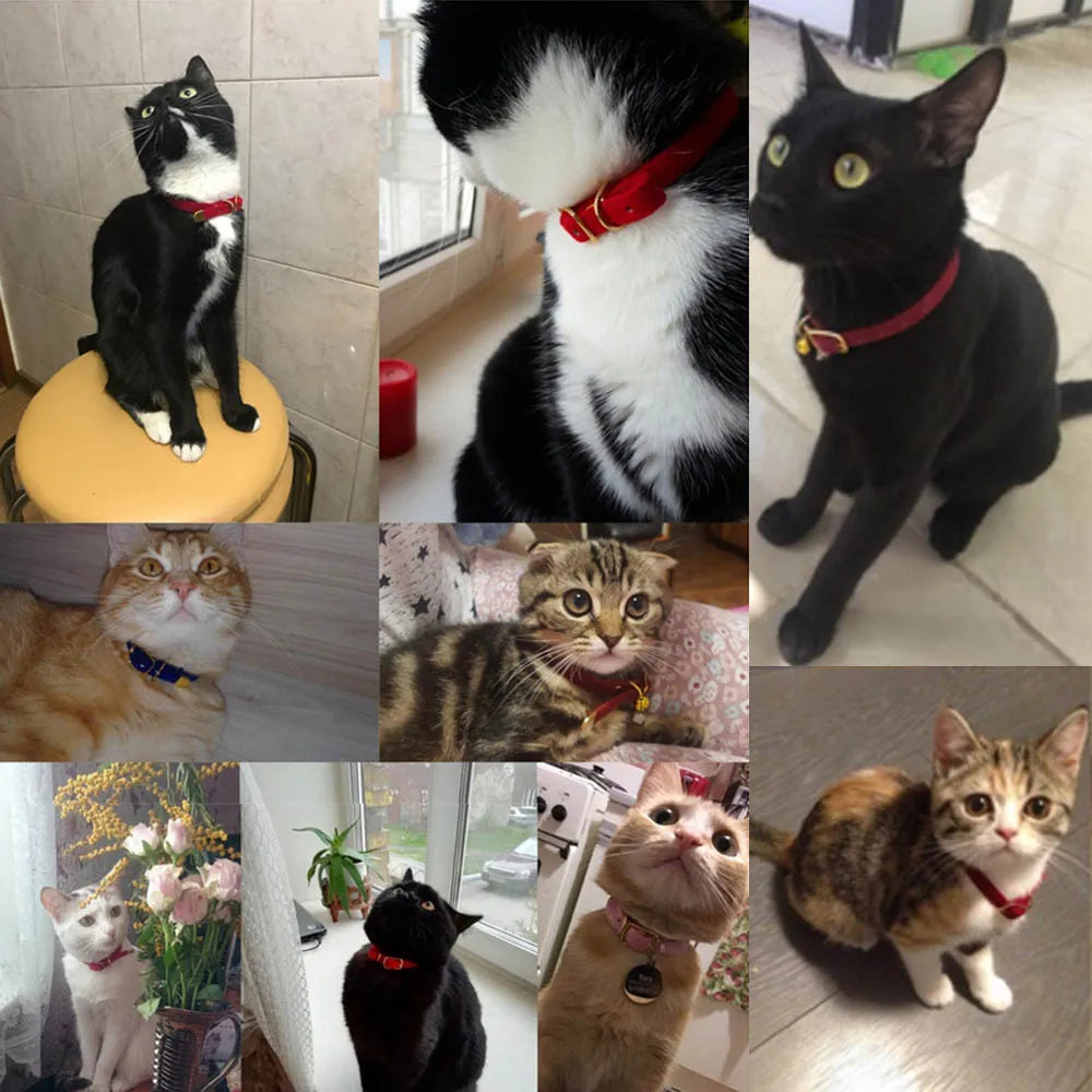 Cat Collar With Bell Safety Cat Collars Adjustable Puppy Dog Collar For Small Dog Kittens Solid Pet Collar Products Cat Necklace