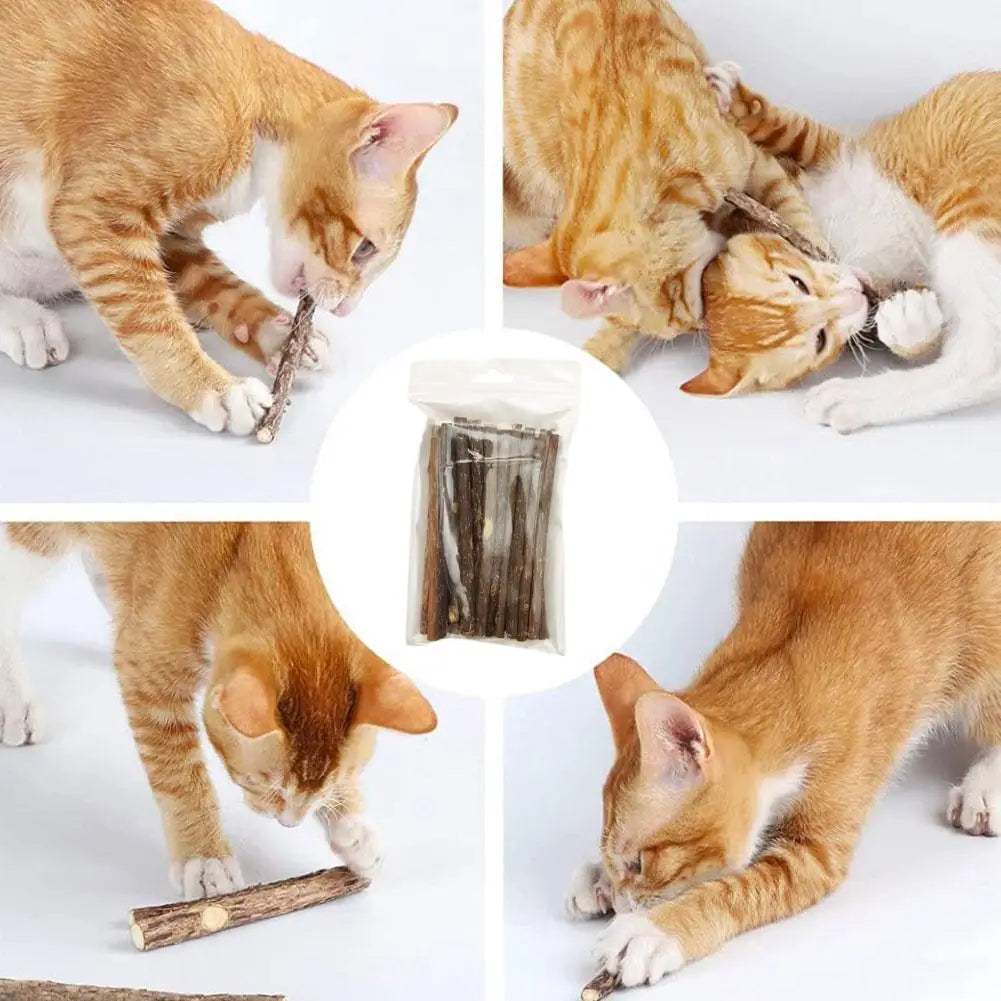 Natural Matatabi Cat Catnip Toy Kitten Molar Chew Stick Pet Cleaning Teeth Cat Treat Toy Actinidia Silvervine Pet Products