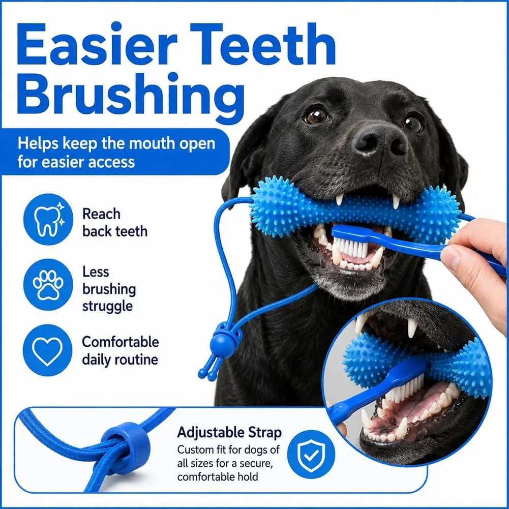 Dual Action Canine Dental Prop Dog Dental Chew Toy Helper For Easier Dog Teeth Brushing Oral Care Accessory