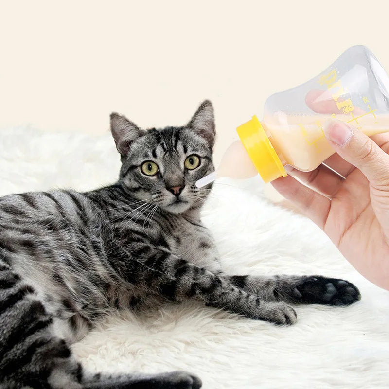 60/150ml Pet Feeder for Small Dogs Cats Newborn Puppy Dog Kitten Cat Milk Water Bottle Dog Feeding Accessories Mascotas Products