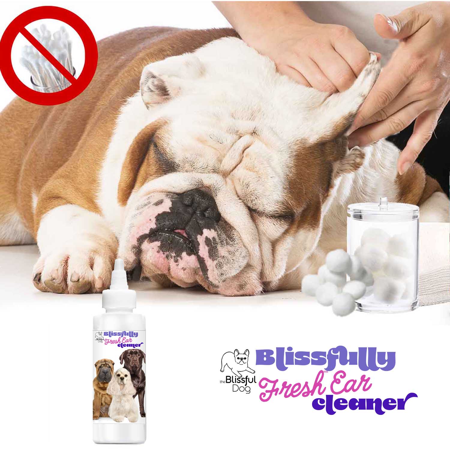 Blissfully Fresh Dog Ear Cleaner
