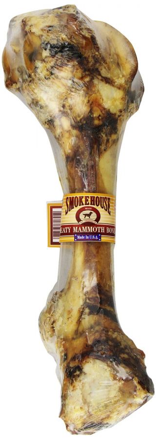 SM BULK MEATY MAMMOTH BONE