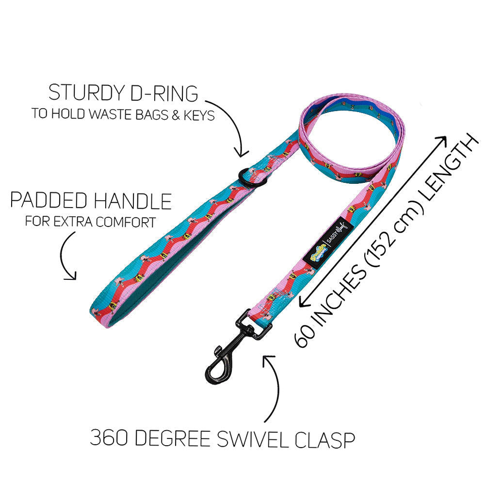 Dog Leash - SpongeBob SquarePants™ and Friends
