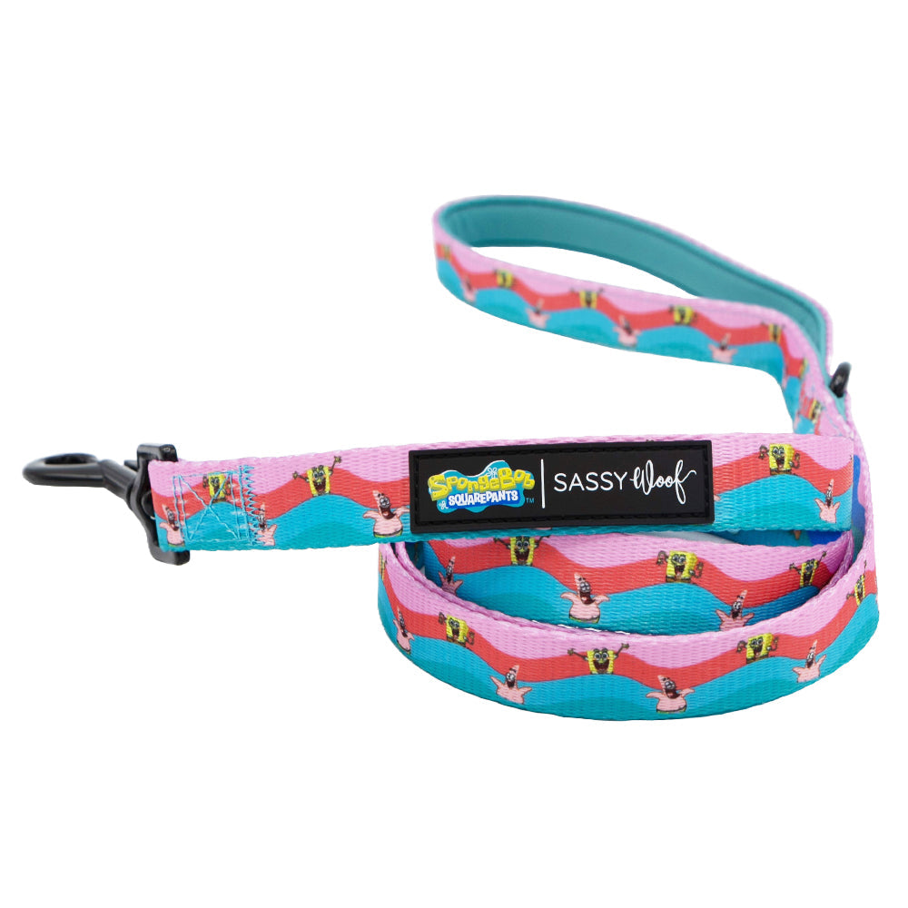 Dog Leash - SpongeBob SquarePants and Friends