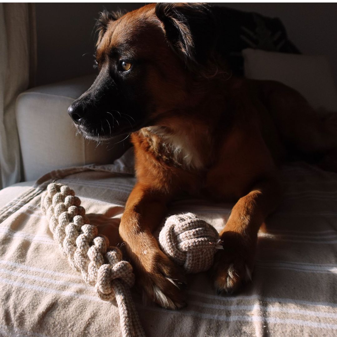 Tilley + Me Indestructible Hemp Rope Tug Toy - Sustainable and Non-Toxic Pet Toy