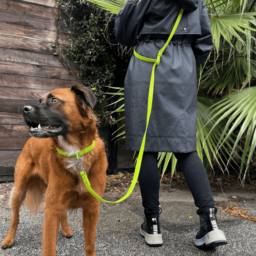 Tilley + Me PVC Dog Collar - All Weather Waterproof Durable & Odor-Resistant