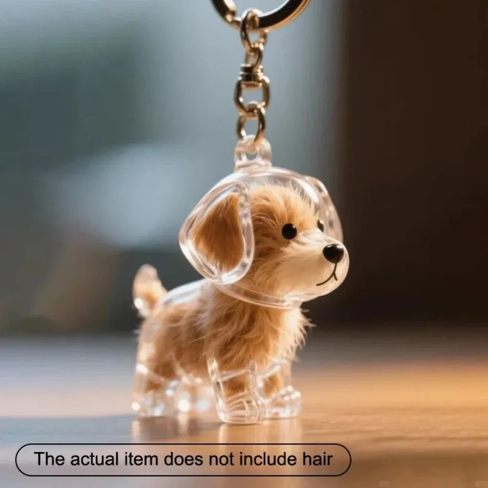 Dog Hair Storage Pendant Cute Keychain Bag Pendant Couple Car Key Chains Jewelry Souvenir Collection Gift Decoration Accessories