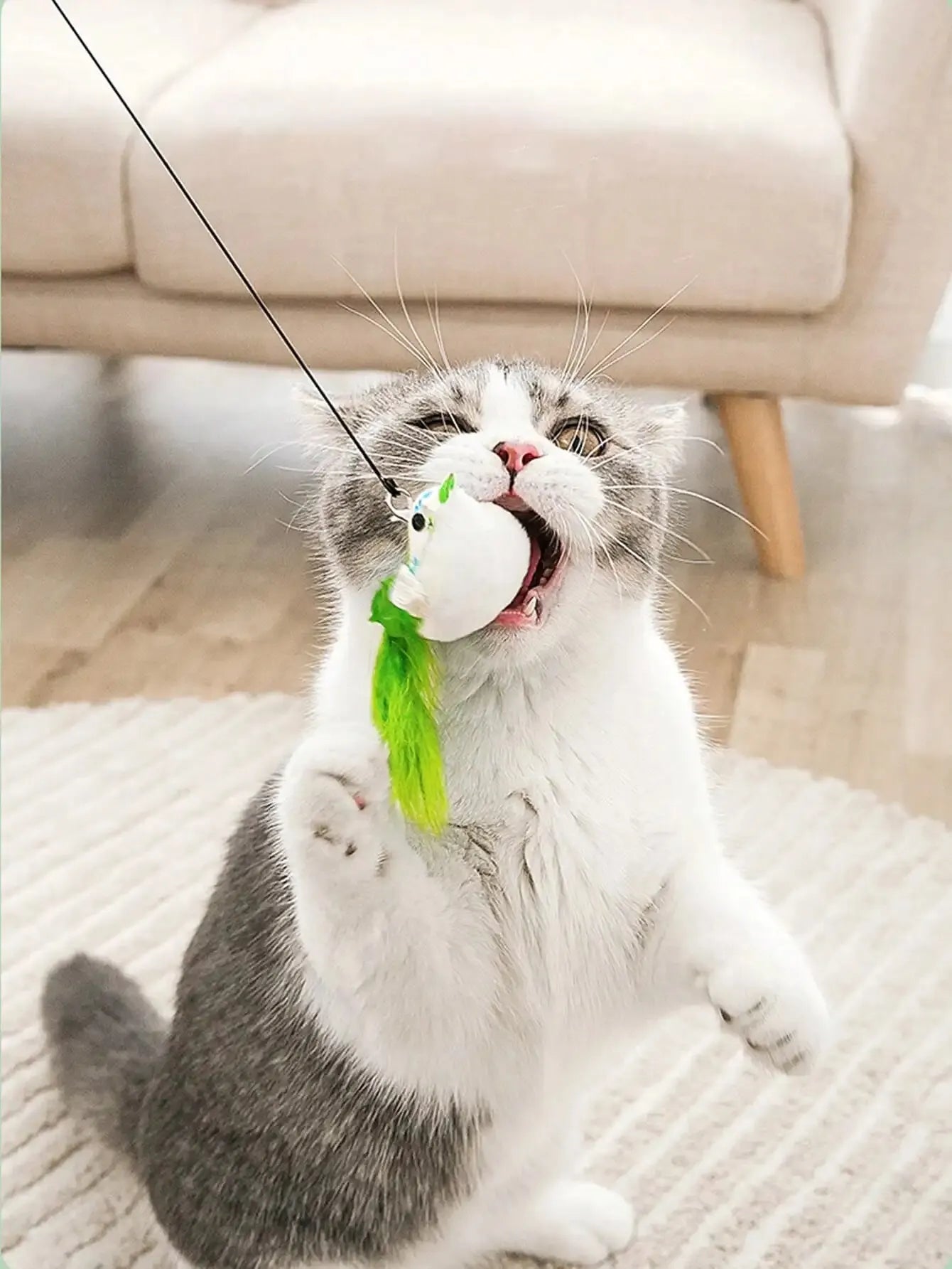 1pcs  Cat Interactive Toy Simulate Bird Interactive Sucker Feather Bell Funny Cat Toys