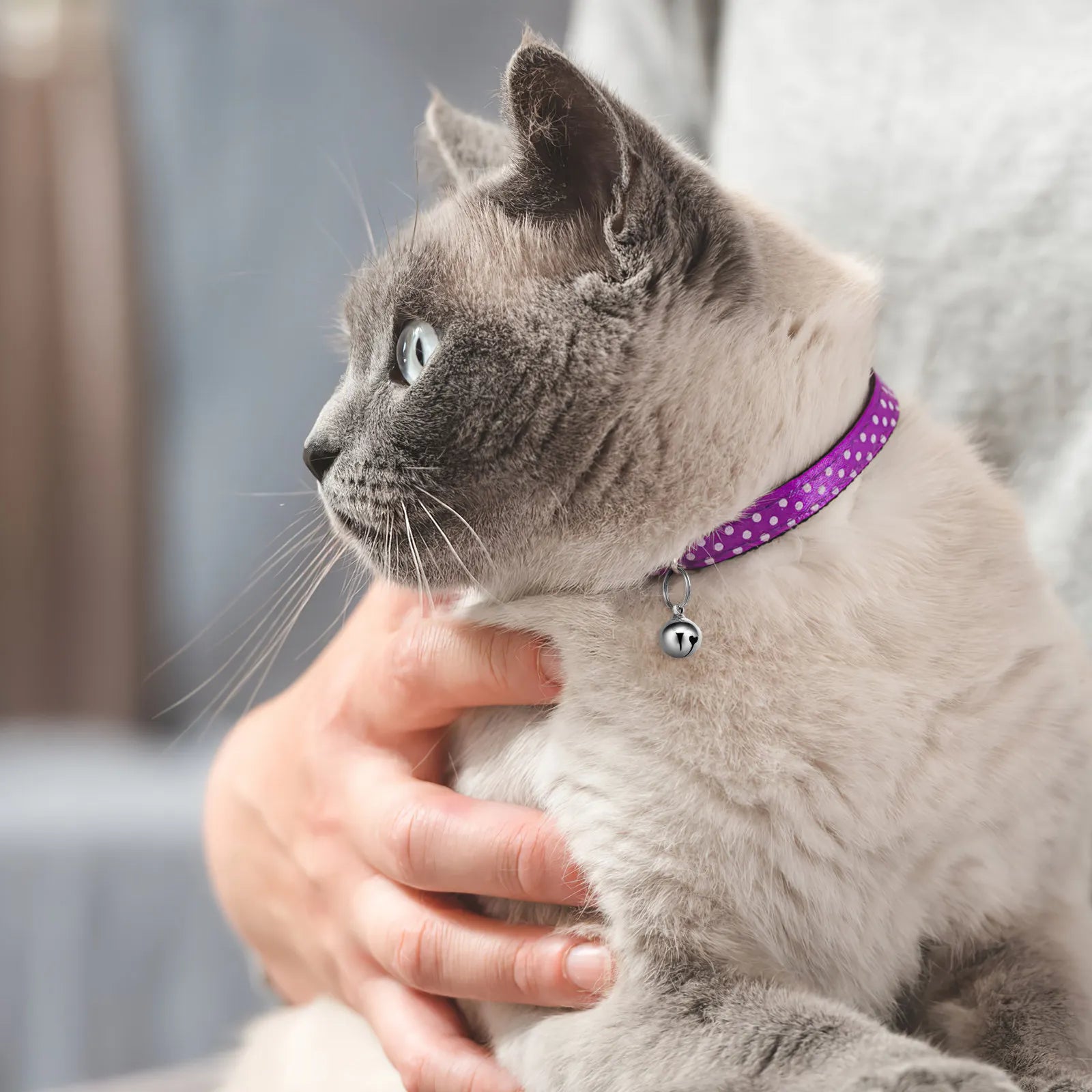 6pcs 16mm Cat Pendant Bell Copper Collar Bell Hanging Ornaments  Metal Pet Jingle Hanging Bells Dog Puppy Necklace Accessories