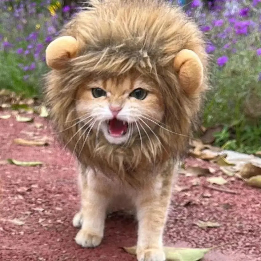 New Cute Funny Lion Mane Wig Hat for Pets Cat Dog Cosplay Costume with Ears Fancy Party Supplies