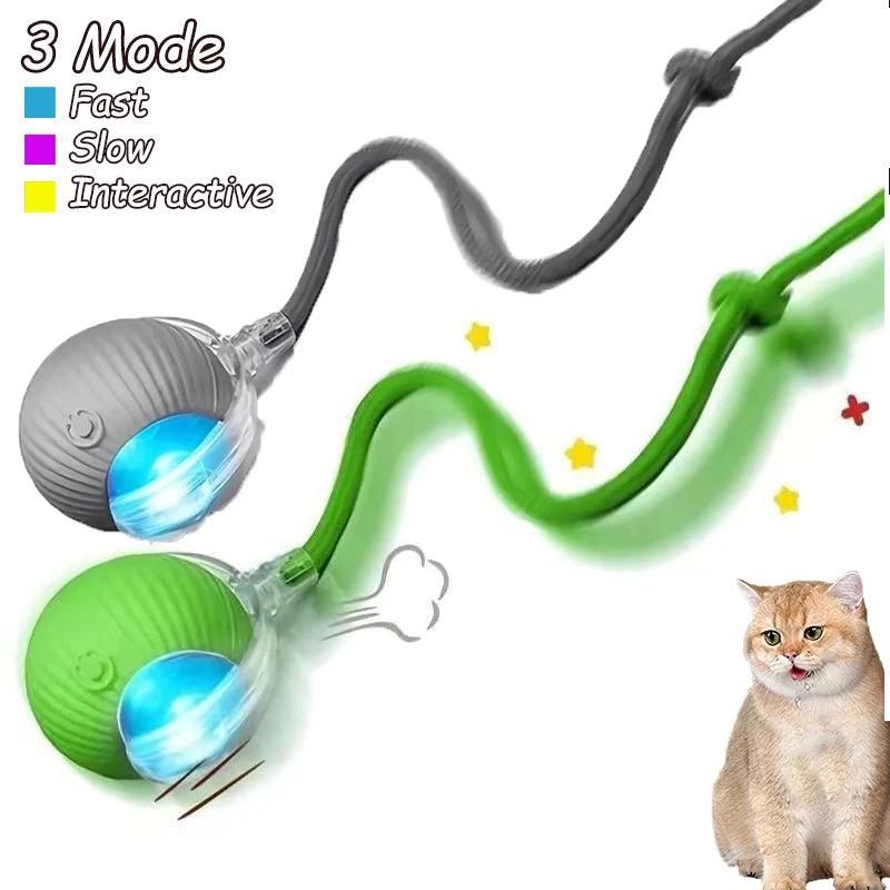 2Pcs Cat Interactive Ball Toys Automatic Rolling Ball Faux Tail Rechargeable Smart Pet Electric Toy Cat Training Imitate Mouse
