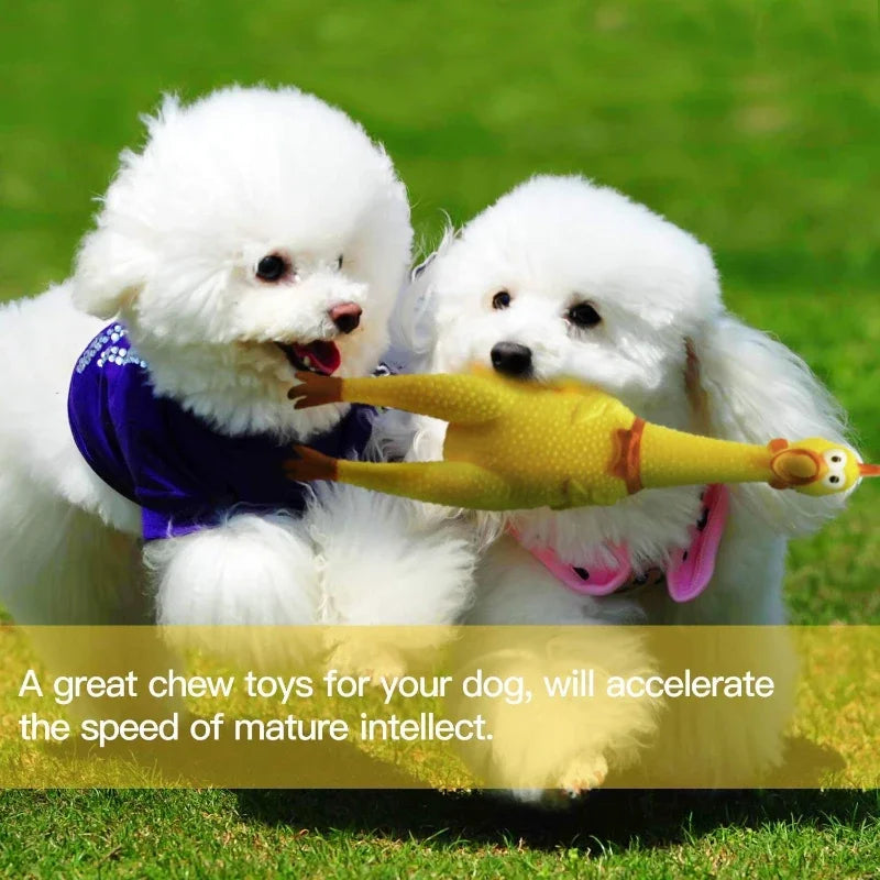 Screaming Chicken Squeeze Sound Toy Pets Dog Toys Product Shrilling Decompression Tool Squeak Vent Chicken Interesting