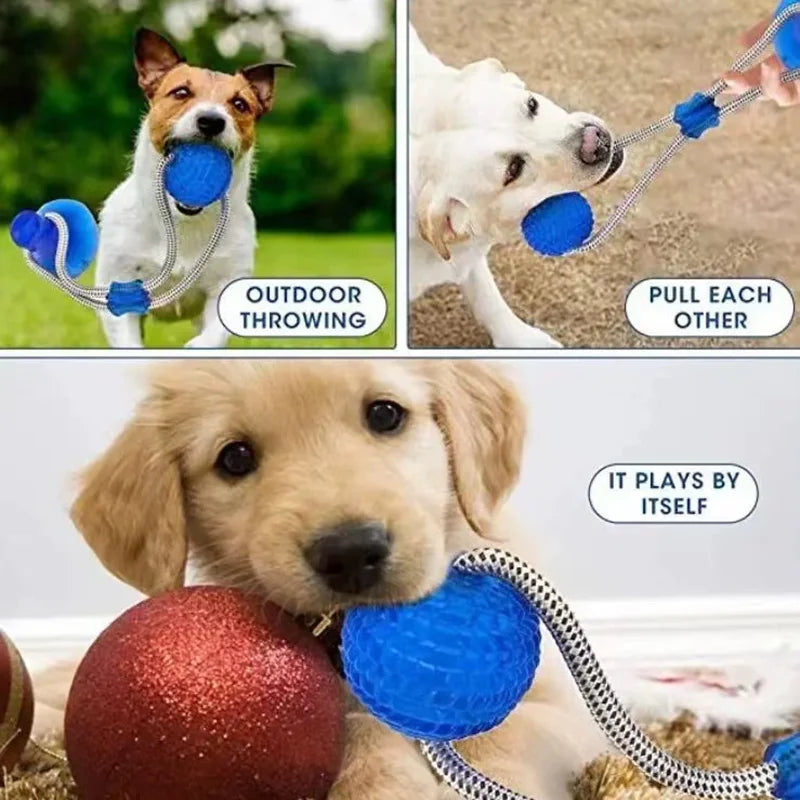 Rubber Suction Cup Dog Ball Pull Rope Interactive Chew Molar Toy Bite Resistant Teeth Clean Pet Play Training Relieve Boredom