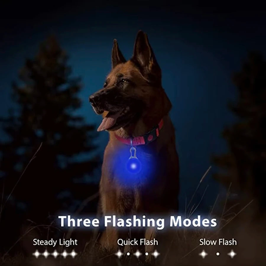 Rechargeable USB LED Dog Collar Pendant Pet Luminous Flash Light for Puppy Leash Accessory Decoration Dog Necklace