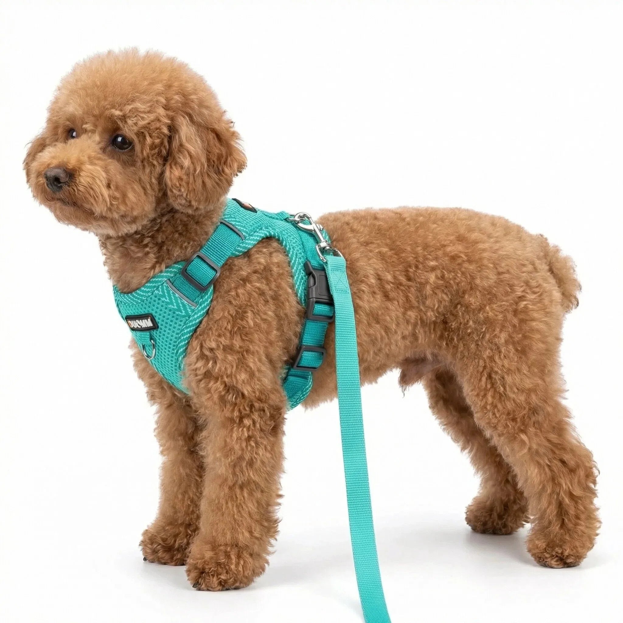 Reflective Breathable Dog Harness and Leash Set Pet Chest Strap Dopamine Pet Supplies Dog Accessories for Small Dogs