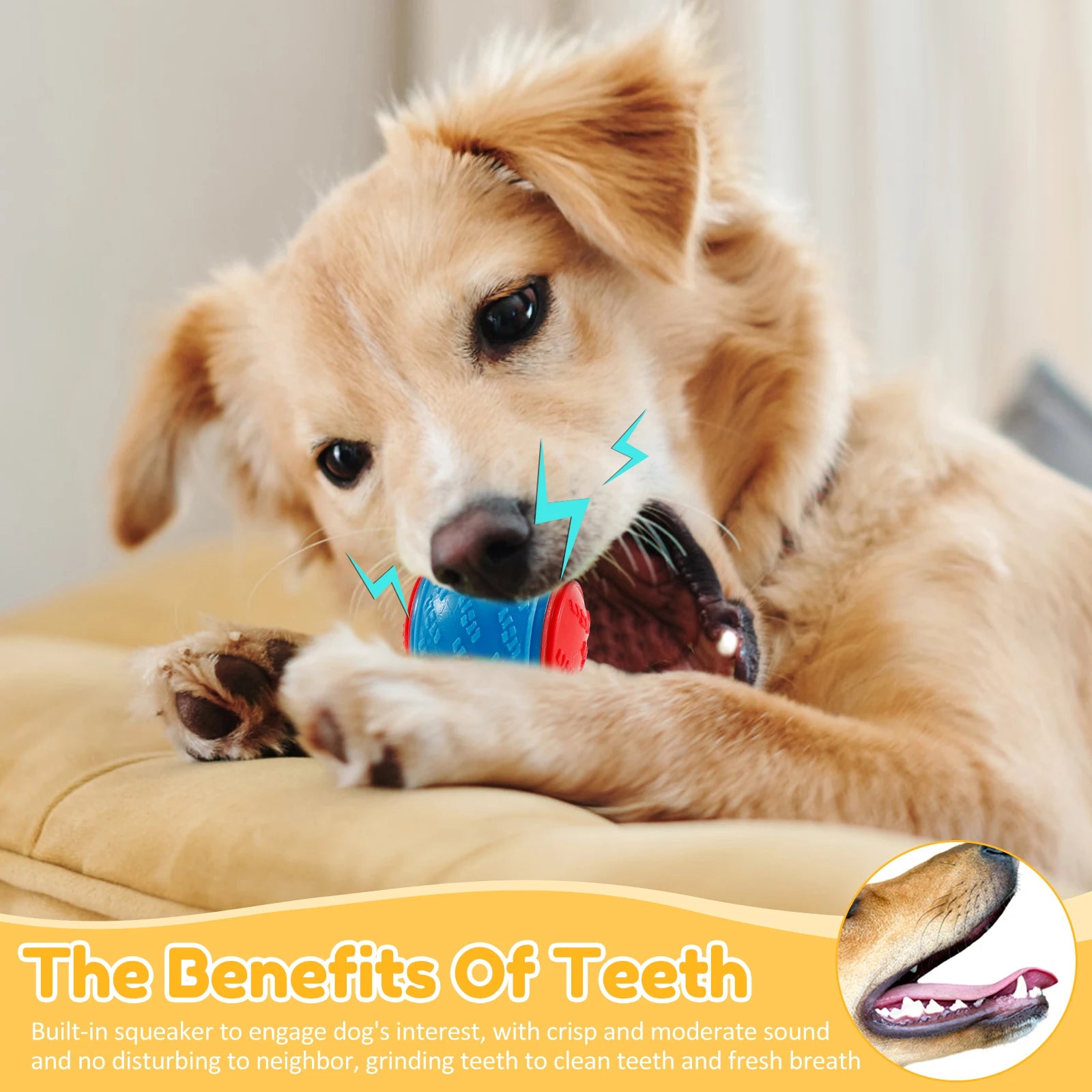 6Pcs Dog Squeaky Balls Toys Interactive Soft TPR Dogs Chew Toy for Pet Teeth Cleaning Bite Resistance Pet dogs accessories