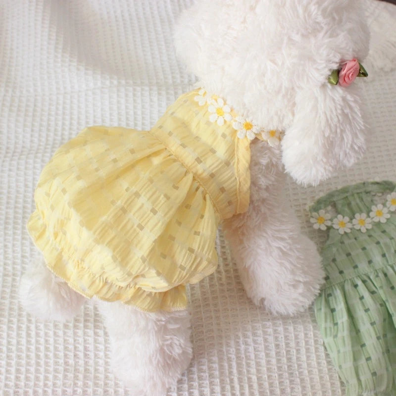 Pet Products Floral Designer Dogs Fancy Dress Candy Green Tutu Skirt Mini Female Cat Clothes for Chihuahua New Summer Puppy