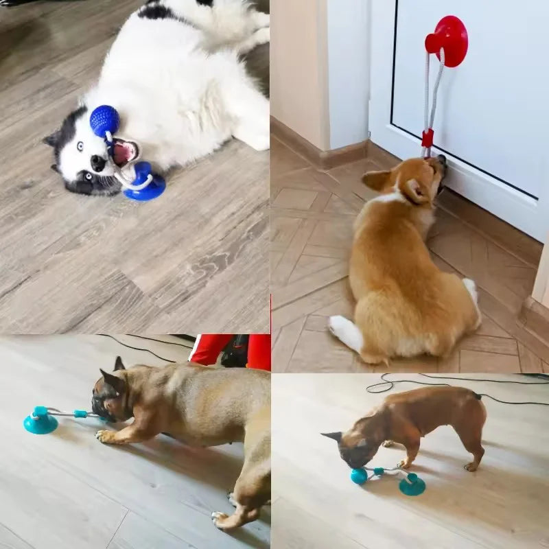Rubber Suction Cup Dog Ball Pull Rope Interactive Chew Molar Toy Bite Resistant Teeth Clean Pet Play Training Relieve Boredom