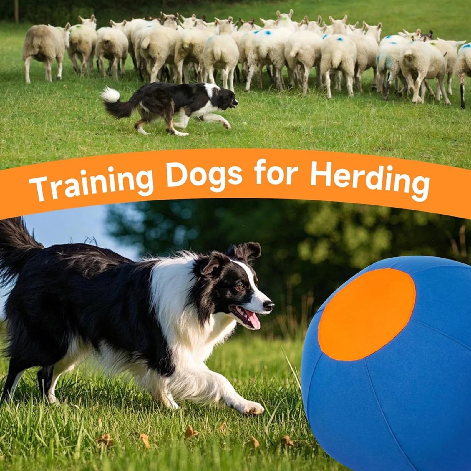 Herding Ball for Dogs with Protective Cover & Pump Dog Training Toy To Keep Them Busy Outdoor Training & Backyard Play