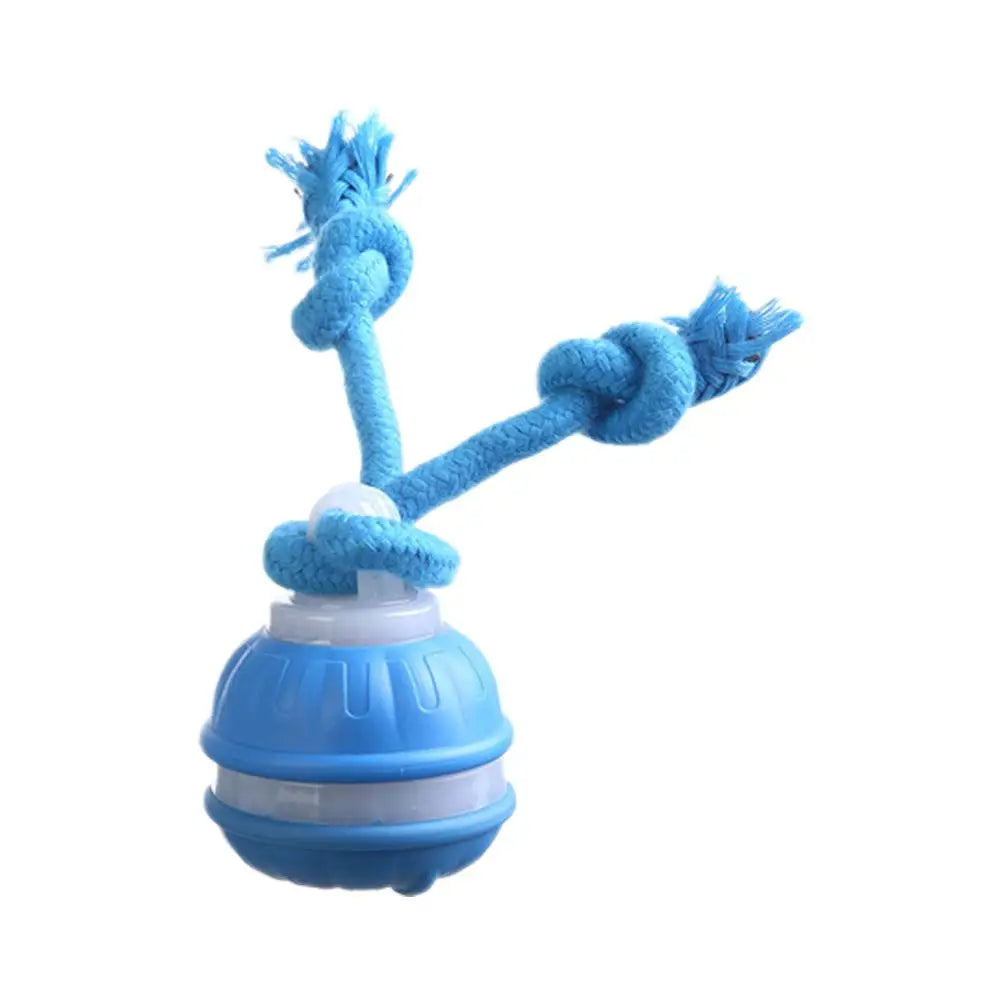 Interactive Dog Toy Ball with Rope Electronic Motion Activated Rolling Ball for Indoor Cat Dog Play Toys for Puppy Training Ball