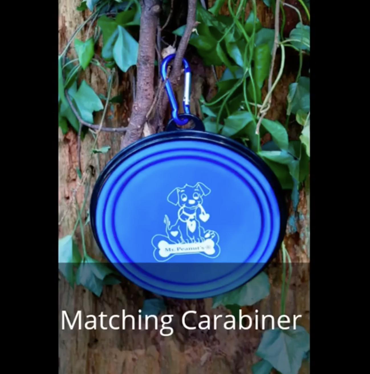 2 Pak XL 34oz Collapsible Travel Bowls for Larger Pets