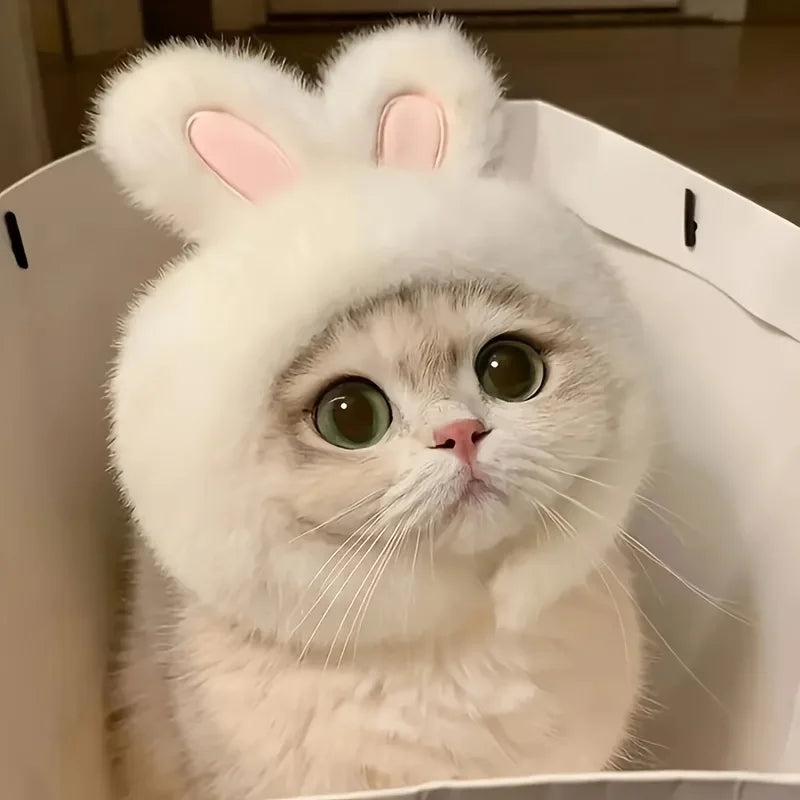 1pc Bunny Ears Cat Hat Themed Pet Costume Knit Fabric Set Comfortable Polyester Pullover Headwear for Cats & Small Dogs