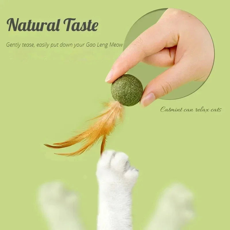 Pet Catnip Toys Edible Catnip Ball Healthy Cat Mint Cats Household Chasing Game Toy Products Cleaning Teeth Pet Toy Supplies