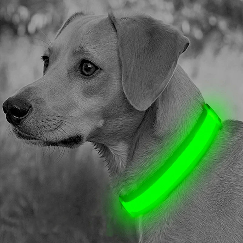 LED Luminous Collar Adjustable Glowing Dog Collar USB Rechargea  Flashing Anti-Lost/Avoid Car Accident Collar Dogs Pet Products