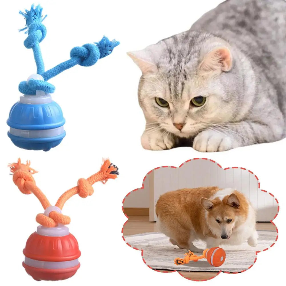 Pet Ball for Dogs Interactive Toys Motion Activate Rolling Ball for Puppy/Small Dogs Automatic Moving Toy USB Rechargeable Toy