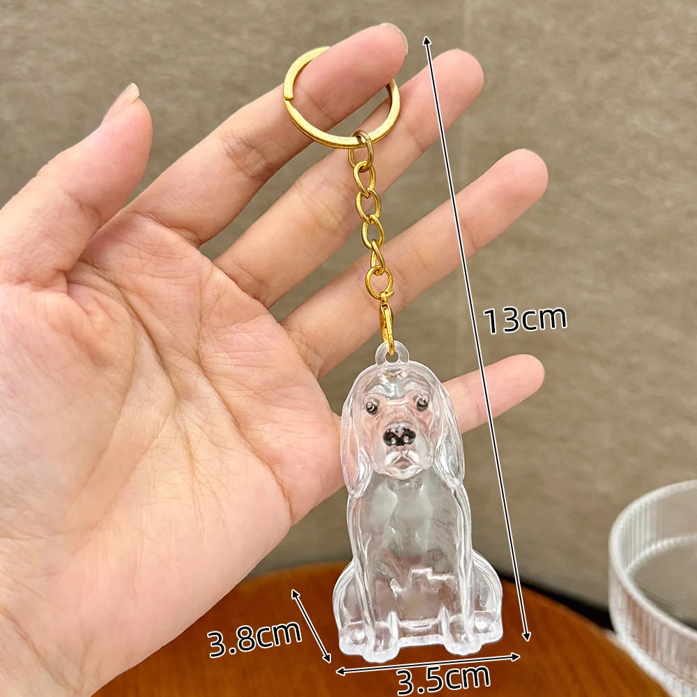 Memory Keychain Creative Cute Dog Keychain Transparent Capsule Pendant Playful Dog Hair Storage Box For Keychains Backpack