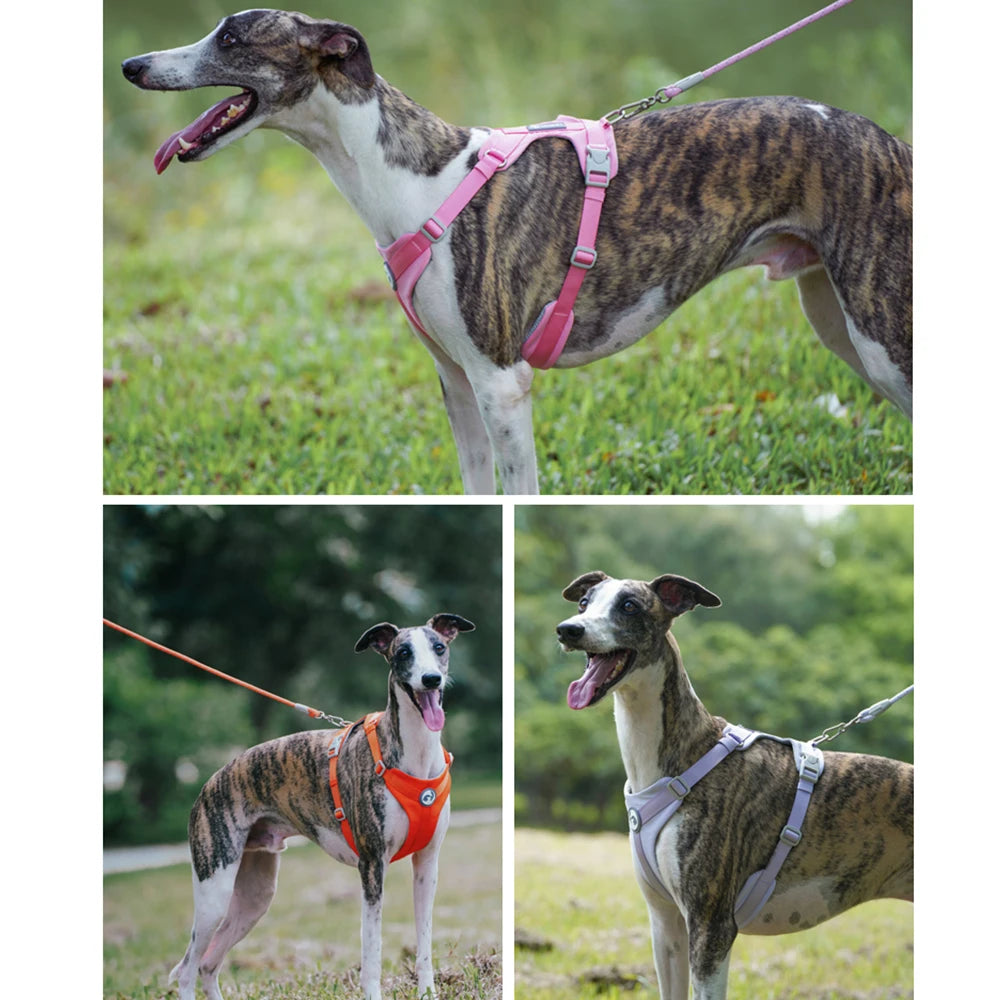 Dog Breathable Harness NO PULL Pet Reflective Harness Vest For Small Large Dog Walk Training In Outdoor Lead Collar Pet Supplies