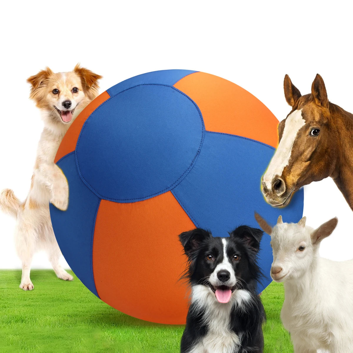 Dog Giant Toy Ball Large Pet Outdoor Training Supplies Children's Interactive Game Toys Interest Play Balls Dog Like Colors Ball