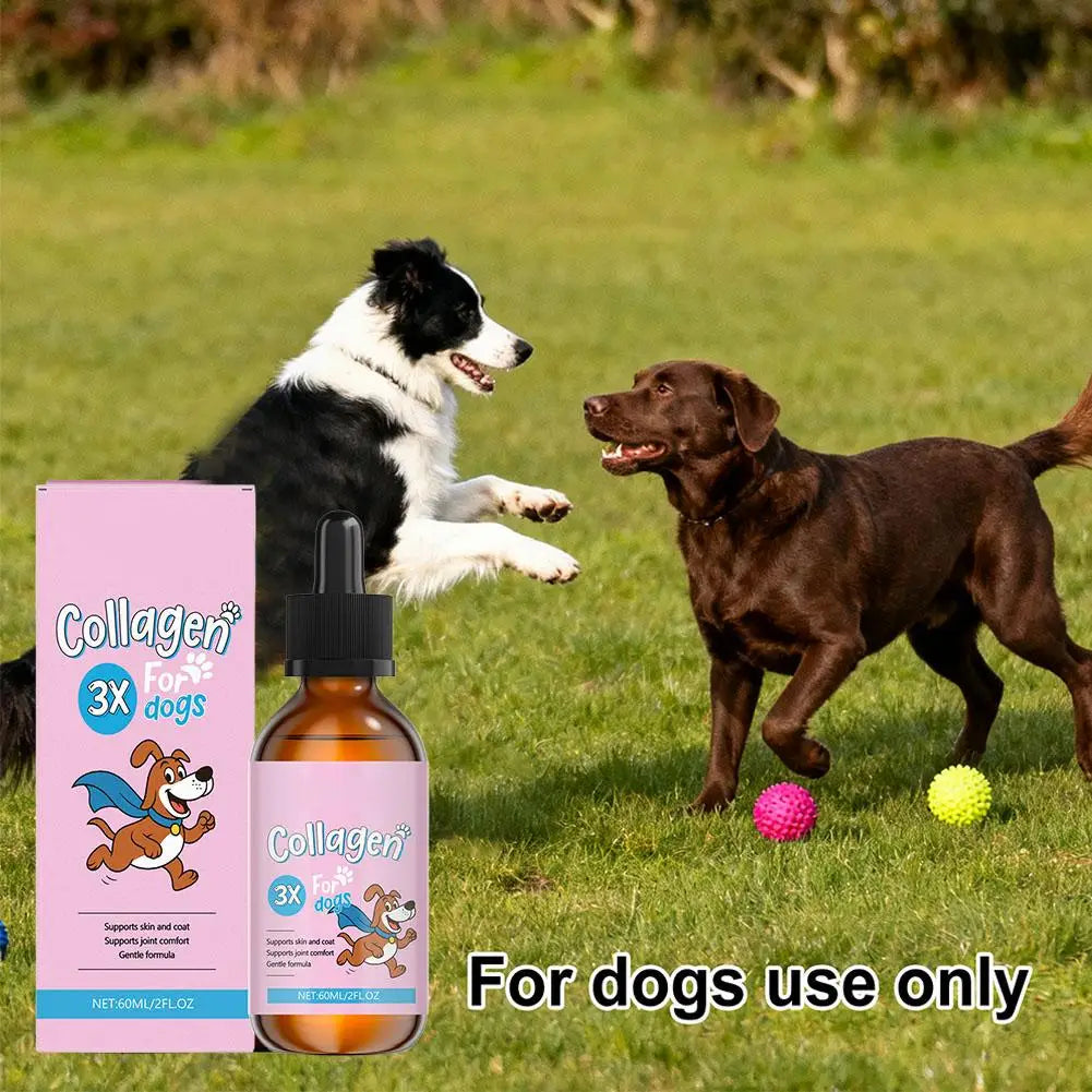 60ml Winter Dog Hair Care Product Liquid Collagen For Repair Intestines And Improve Health Of The Digestive System For Pet