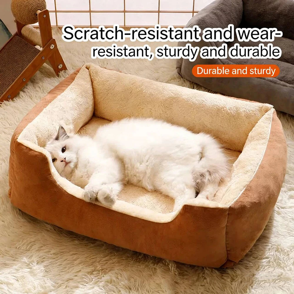 Bed for Cats Pet Products Cushions Kitten Goods Accessories Dog All Houses Supplies Things Accessory Habitats Basket House Beds
