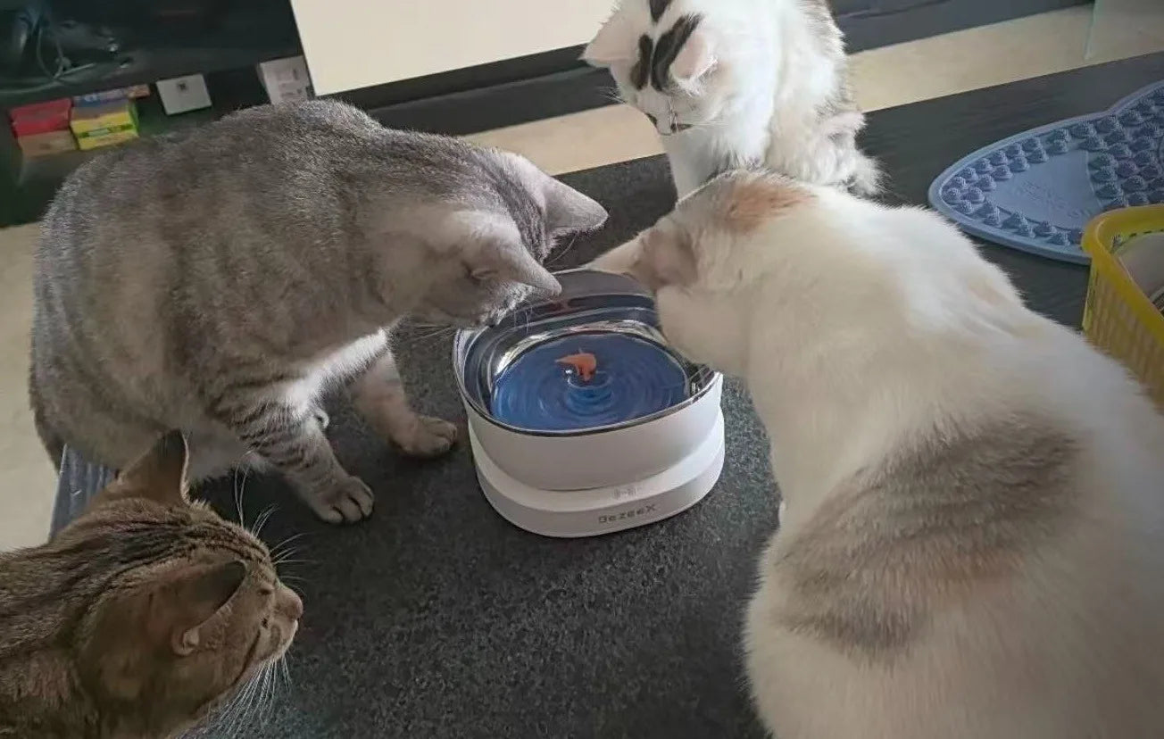 InnovatiMagnetic Drive Wireless Cat Water Fountain 100 Days Long Battery Life Ultra Quiet Filter-Free Suspension Pet Water Bowl