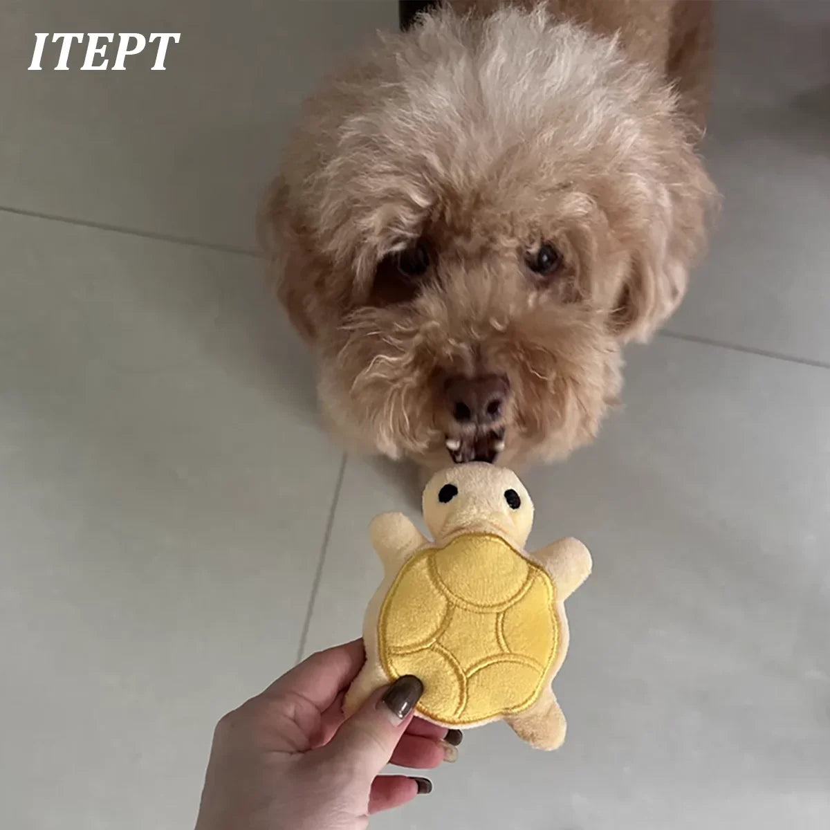 Mini Turtle Plush Dog Chew Toy for Self-Entertainment, Durable and Bite-Resistant, Promotes Dental Health and Safe Fun Play.