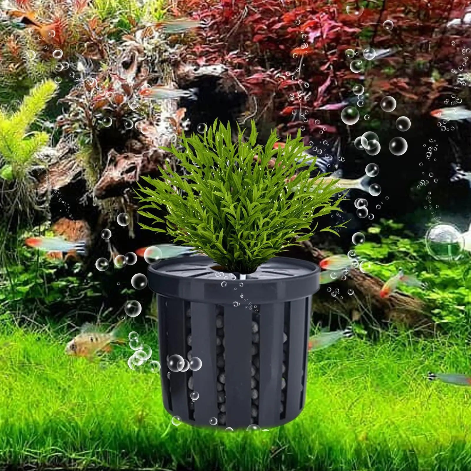 4pcs Pet Fish Tank Decorations Accessories Aquarium Plant Stand Stable Fish Tank Net Cup Hydroponic Plant Storage Fixed Basket